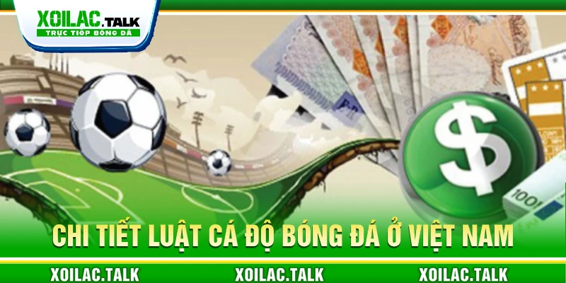 Chi tiết luật cá độ bóng đá ở Việt Nam