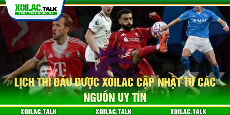 Lịch thi đấu được Xoilac cập nhật từ các nguồn uy tín