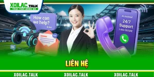 liên hệ