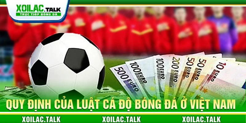Quy định của luật cá độ bóng đá ở Việt Nam
