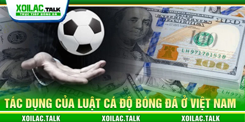 Tác dụng của luật cá độ bóng đá ở Việt Nam