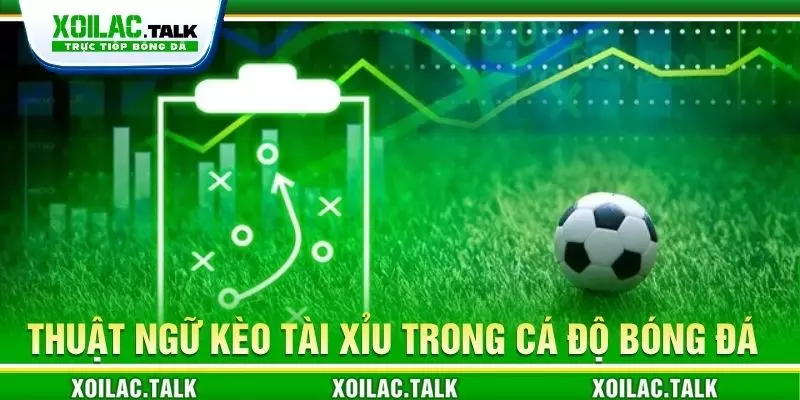 Thuật ngữ kèo tài xỉu trong cá độ bóng đá